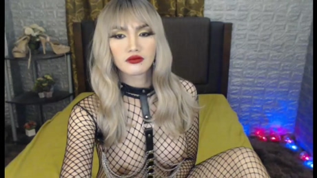 cutietrans4u  22-02-2022